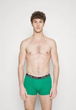 Pier One 5 PACK - Panties - Light Grey/black/green 10 Pier One 5 PACK - Panties - Light Grey/black/green -Pier One 848816986ca24fbcb5e57aec8f8eb96c