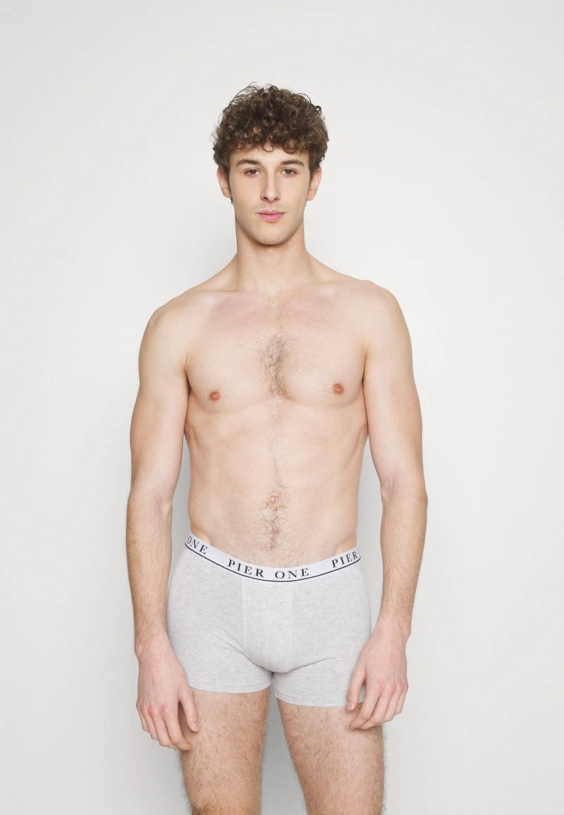 Pier One 5 PACK - Panties - Light Grey/black/green 3 Pier One 5 PACK - Panties - Light Grey/black/green