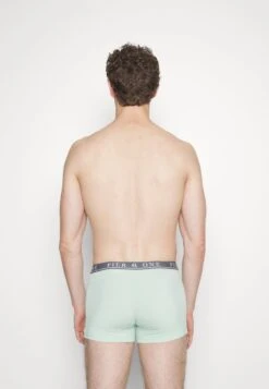 Pier One 5 PACK - Panties - Beige/light Green/black 9 Pier One 5 PACK - Panties - Beige/light Green/black -Pier One 8ca08567e3b4472492608736501a3431